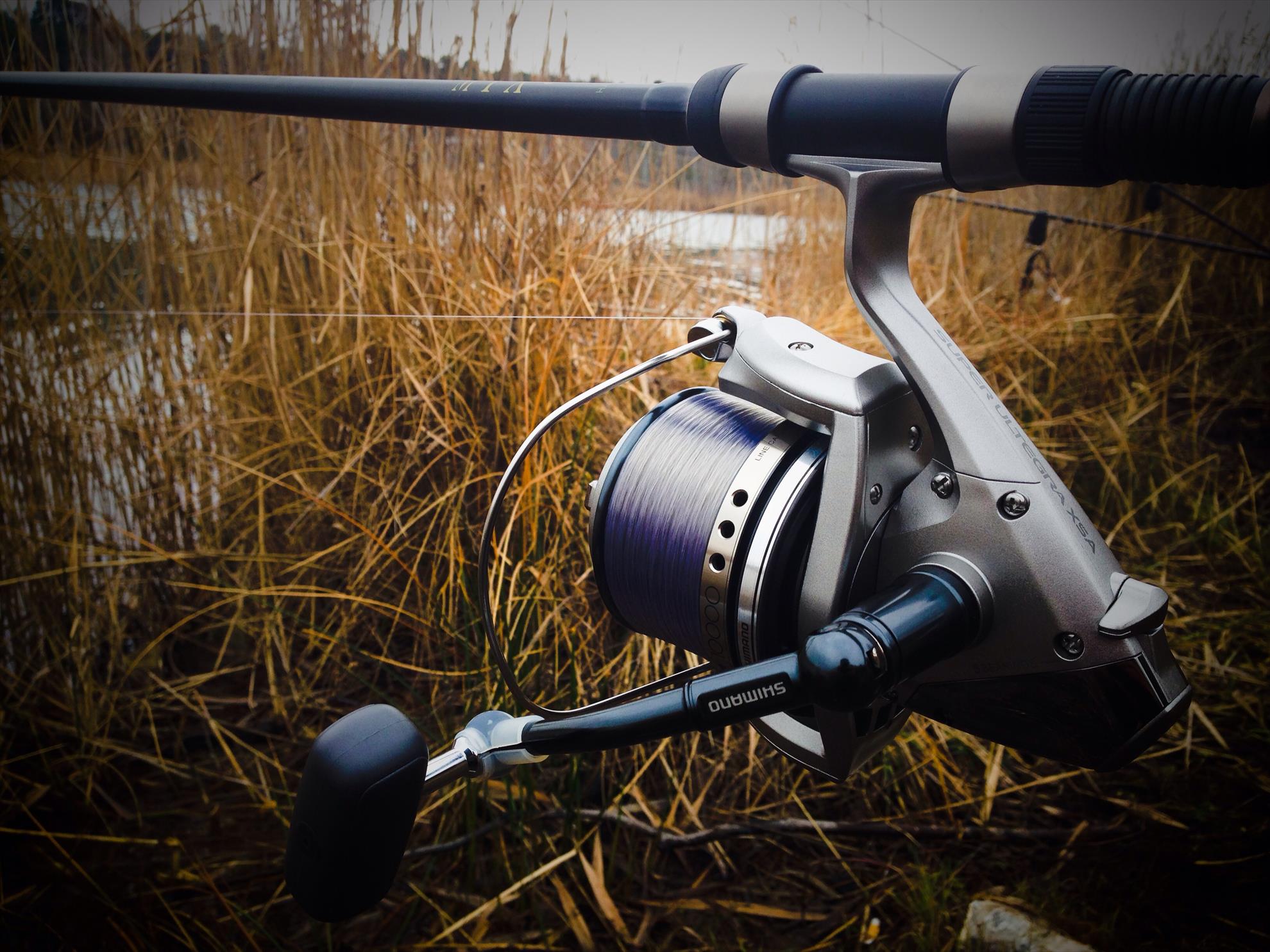 2013 - 3 - image111111111.jpg